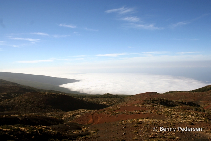 Las Canadas 4.jpg - Nationalpark Teide Las Canadas